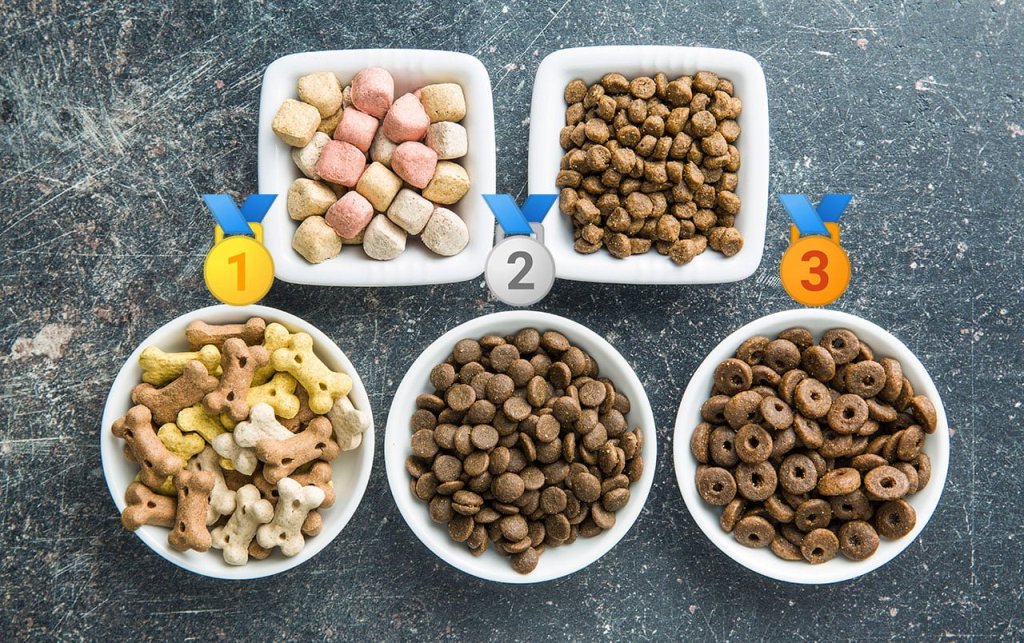 Quels types de croquettes donner à son chien ?